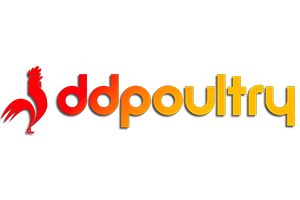 DD Poultry